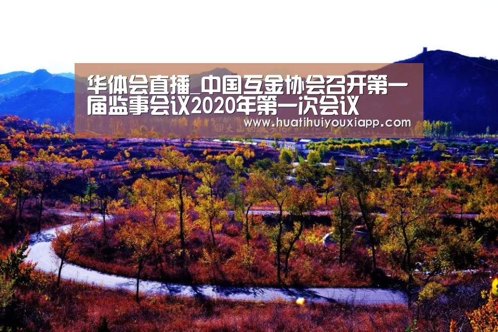 华体会直播_中国互金协会召开第一届监事会议2020年第一次会议(图2) 华体会网站